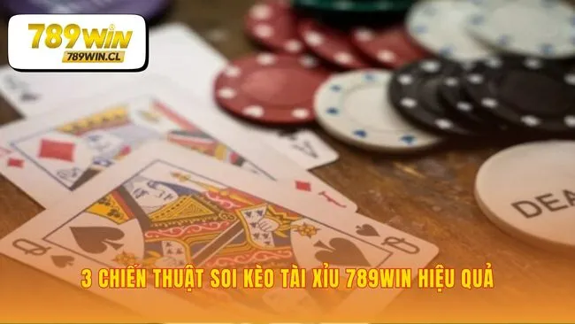 Nâng tầm dự đoán từ may rủi thành khoa học