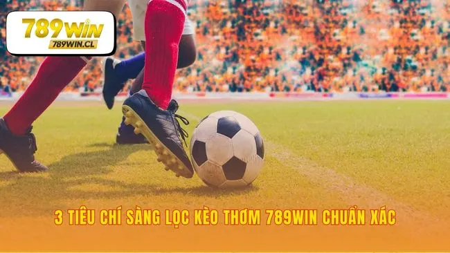 Bộ lọc chiến lược giúp bạn phát hiện cơ hội ẩn