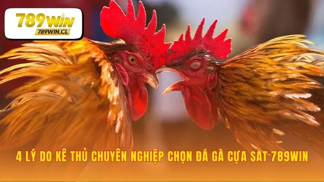 Lợi thế khi chơi đá gà cựa sắt 789WIN chuyên nghiệp