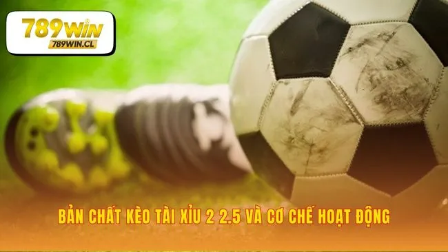 Một mức cược, hai ngưỡng phán quyết rõ ràng