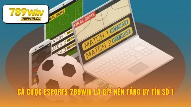 Nền tảng uy tín cho mọi cuộc chơi số