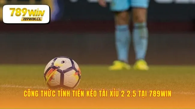 Ba kịch bản quyết định tiền kèo tài xỉu 2 2.5 là gì 789WIN