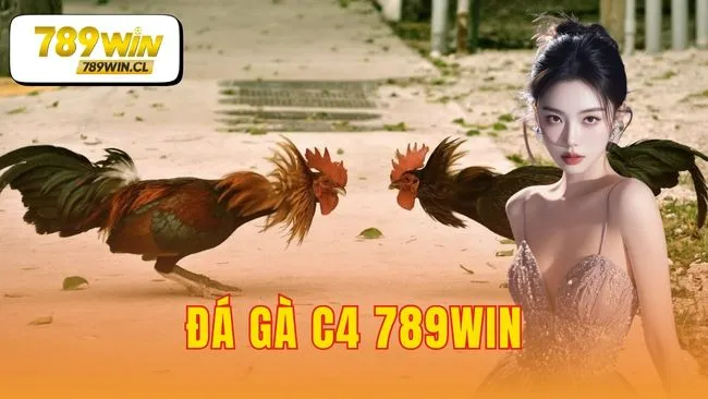 đá gà c4 789WIN