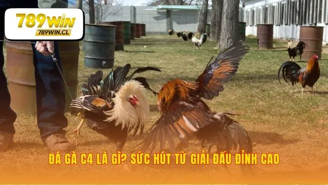 Sức nóng của trận đấu tâm điểm trong ngày