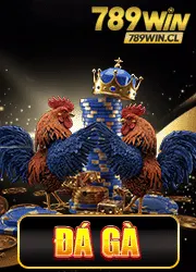 Đá gà 789win