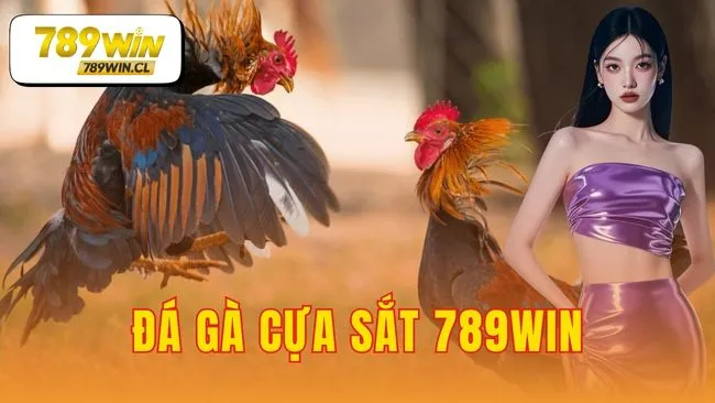 đá gà cựa sắt 789WIN
