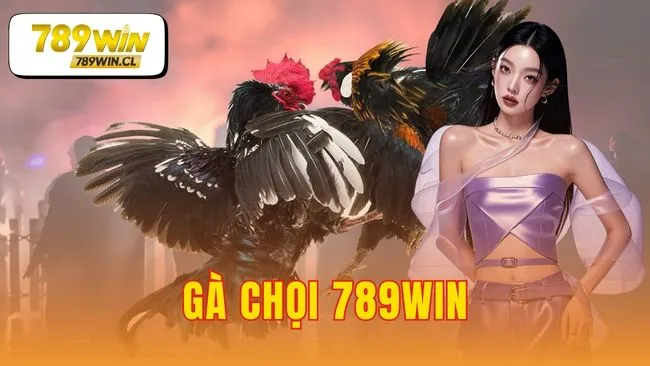gà chọi 789WIN
