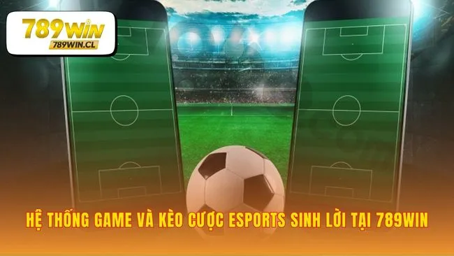 Lựa chọn đấu trường và vũ khí cá cược của bạn