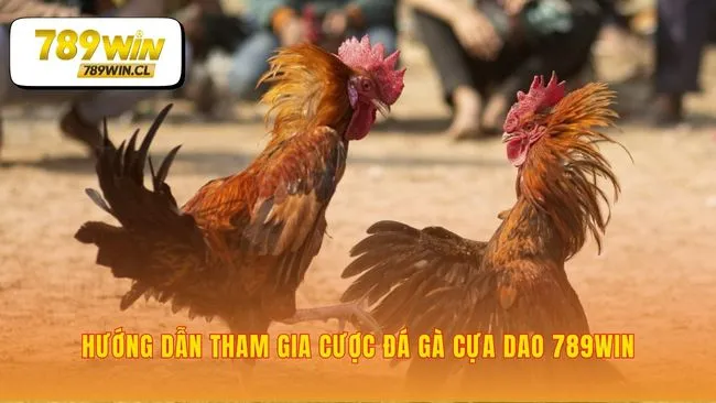 Năm bước đơn giản để nhập cuộc trận đấu kịch tính