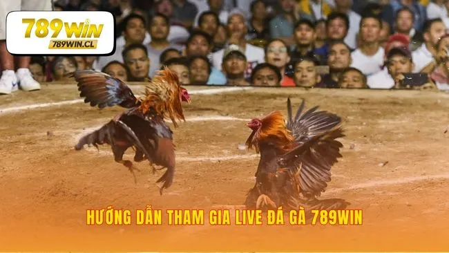 Con đường nhanh nhất đến với các trận đấu đỉnh cao