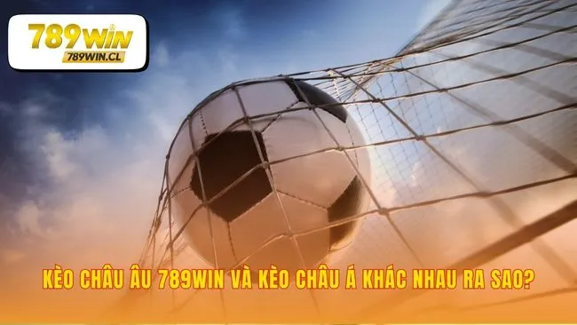 Lựa chọn loại hình đặt cược phù hợp