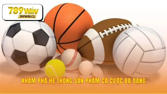 Mọi đam mê thể thao đều tìm thấy kèo cược