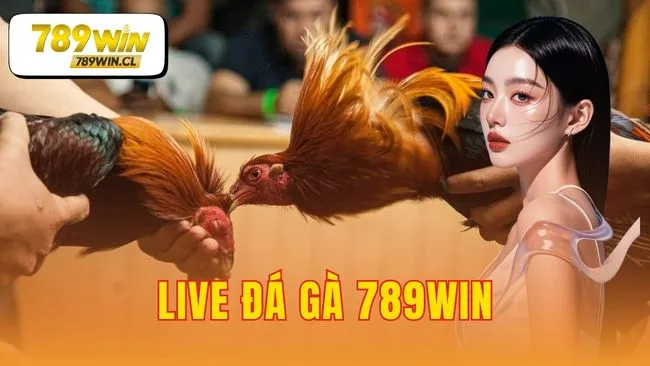 live đá gà 789WIN