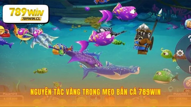 Định hình tư duy chiến lược trước khi bóp cò