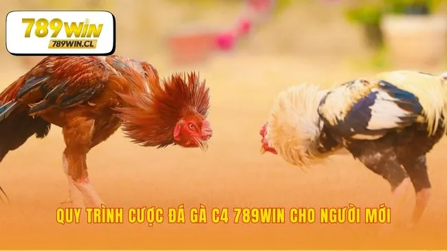 Đặt cược nhanh dễ dàng chỉ với vài thao tác