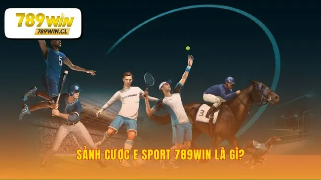 Nền tảng pháp lý vững chắc cho mọi kèo cược