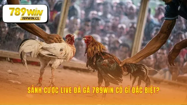 Nền tảng công nghệ vượt trội cùng sự minh bạch tuyệt đối