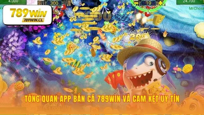 Xây dựng niềm tin trước khi bạn chinh phục đại dương