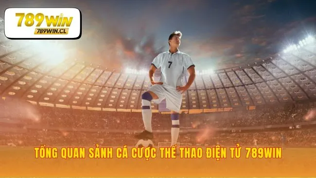 Nền tảng vững chắc của cá cược thể thao điện tử 789WIN