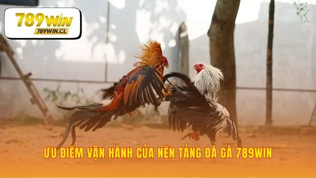 Sức mạnh công nghệ tạo nên trải nghiệm cược khác biệt